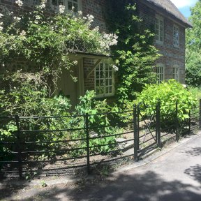Domestic Fence Along Pavement