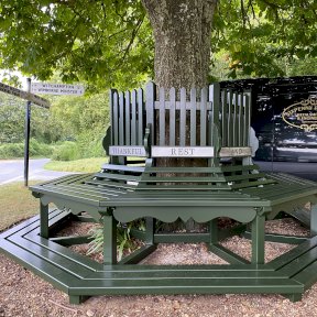 Tree Seat