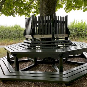 Tree Seat