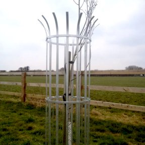 Standard Galvanised Tree Guard